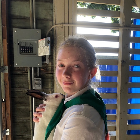 Meet your Posher, Peyton - Picture 1 of 1